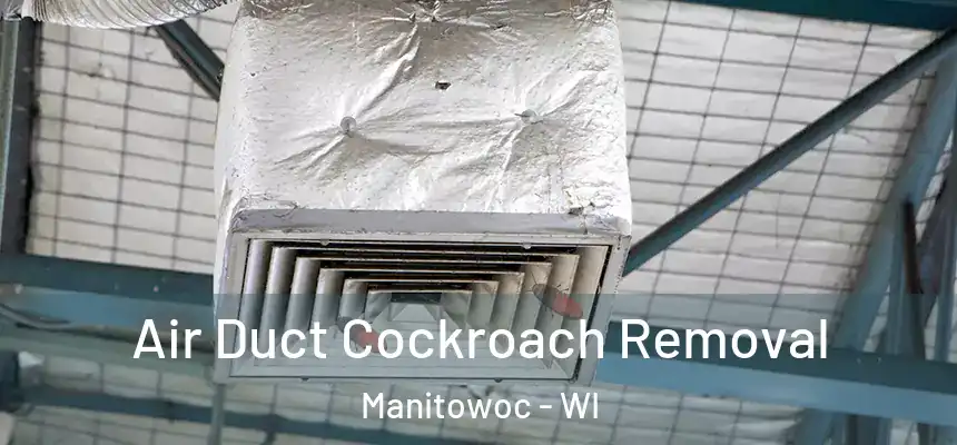  Air Duct Cockroach Removal Manitowoc - WI