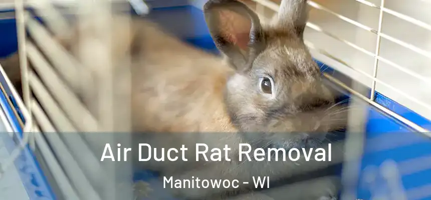 Air Duct Rat Removal Manitowoc - WI
