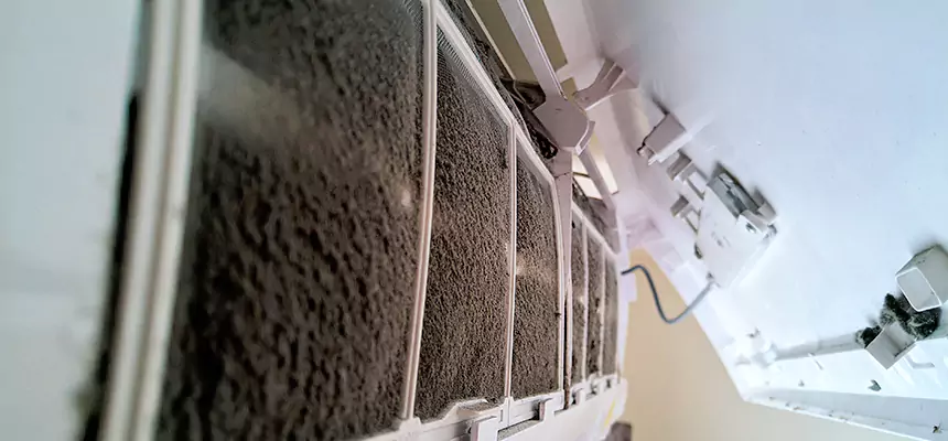 Preventive Air Duct Bacteria Removal in Manitowoc