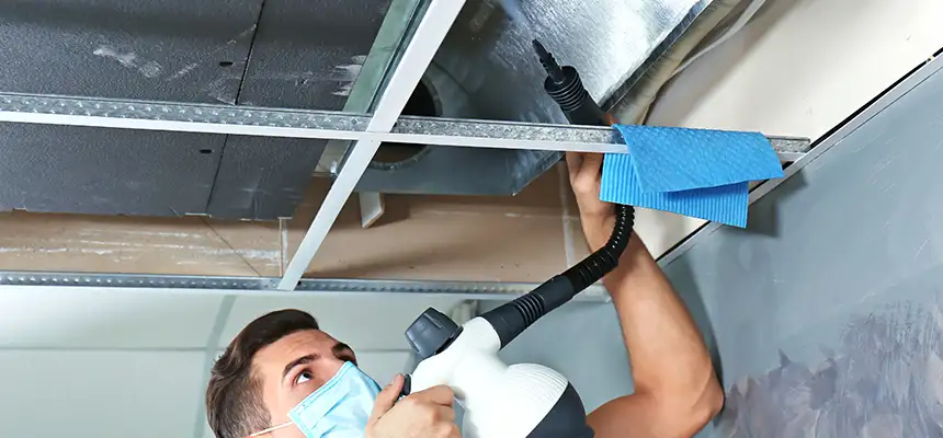 Our Air Duct Rodent Removal Services in Manitowoc, WI