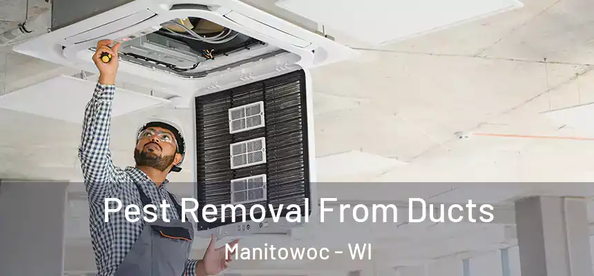 Pest Removal From Ducts Manitowoc - WI