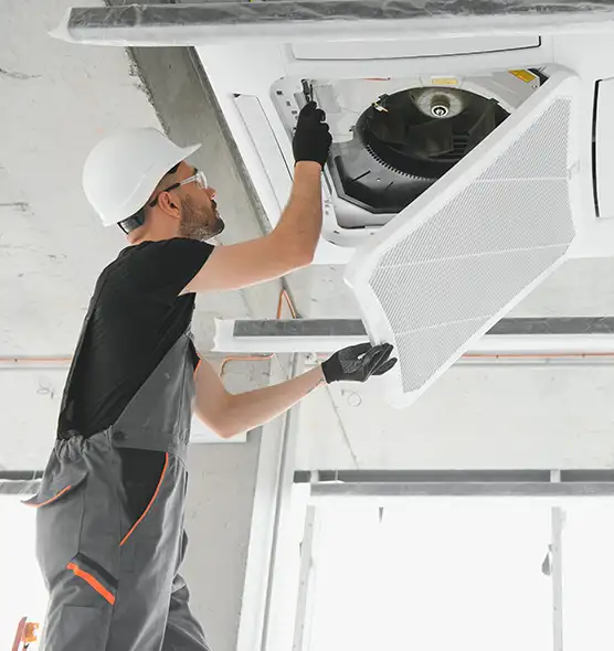 About Air Duct Rodent Removal in Manitowoc, WI