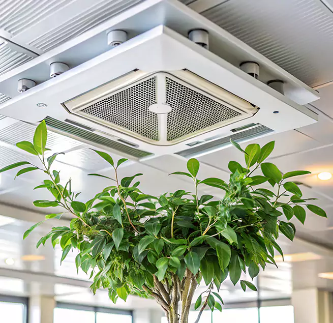 Why Homeowners & Businesses Trust Us in Manitowoc, WI?